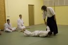 013-IMG_8995.jpg.small.jpeg