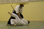 018-IMG_9001.jpg.small.jpeg