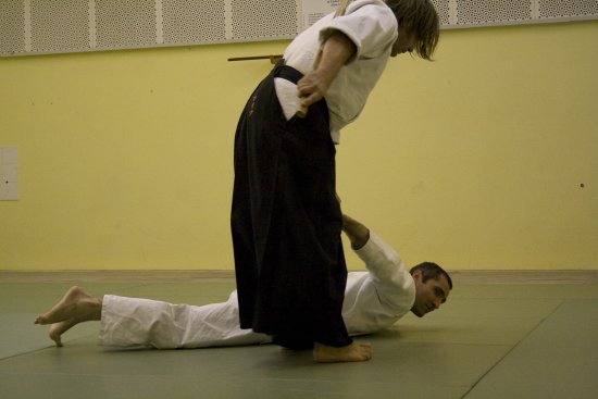 022-IMG_9005.jpg.medium.jpeg