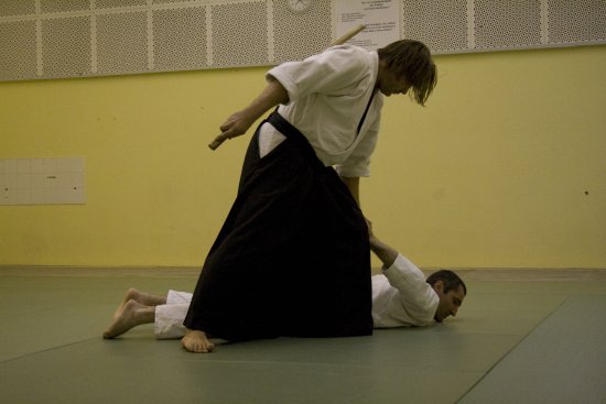 023-IMG_9006.jpg.medium.jpeg