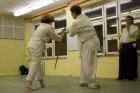 038-IMG_9183.jpg.small.jpeg