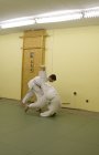 044-IMG_9285.jpg.small.jpeg