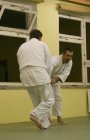 053-IMG_9401.jpg.small.jpeg