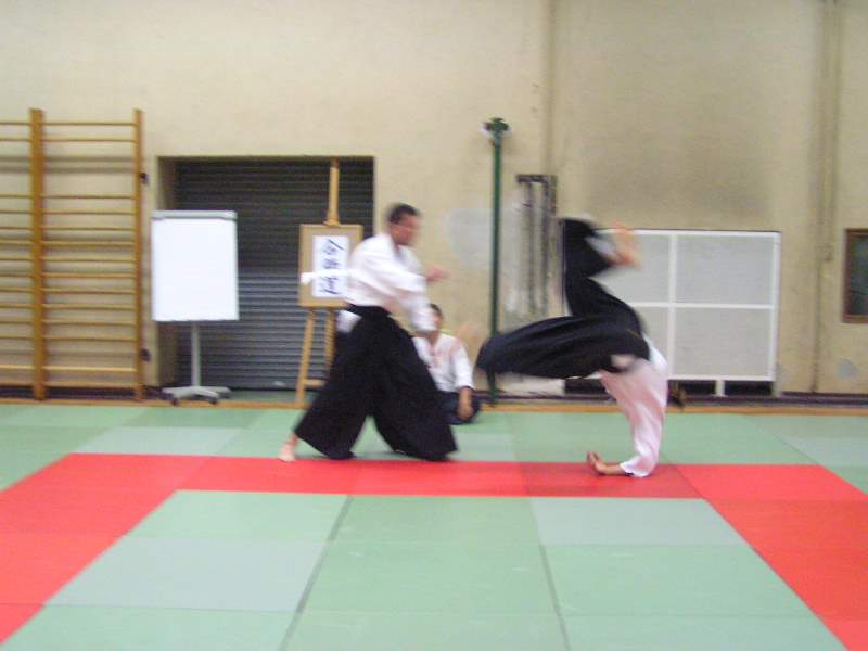 ../Images/PB050165.jpg