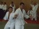 Thumbs/tn_S3000113.jpg