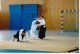 Thumbs/tn_00011.jpg